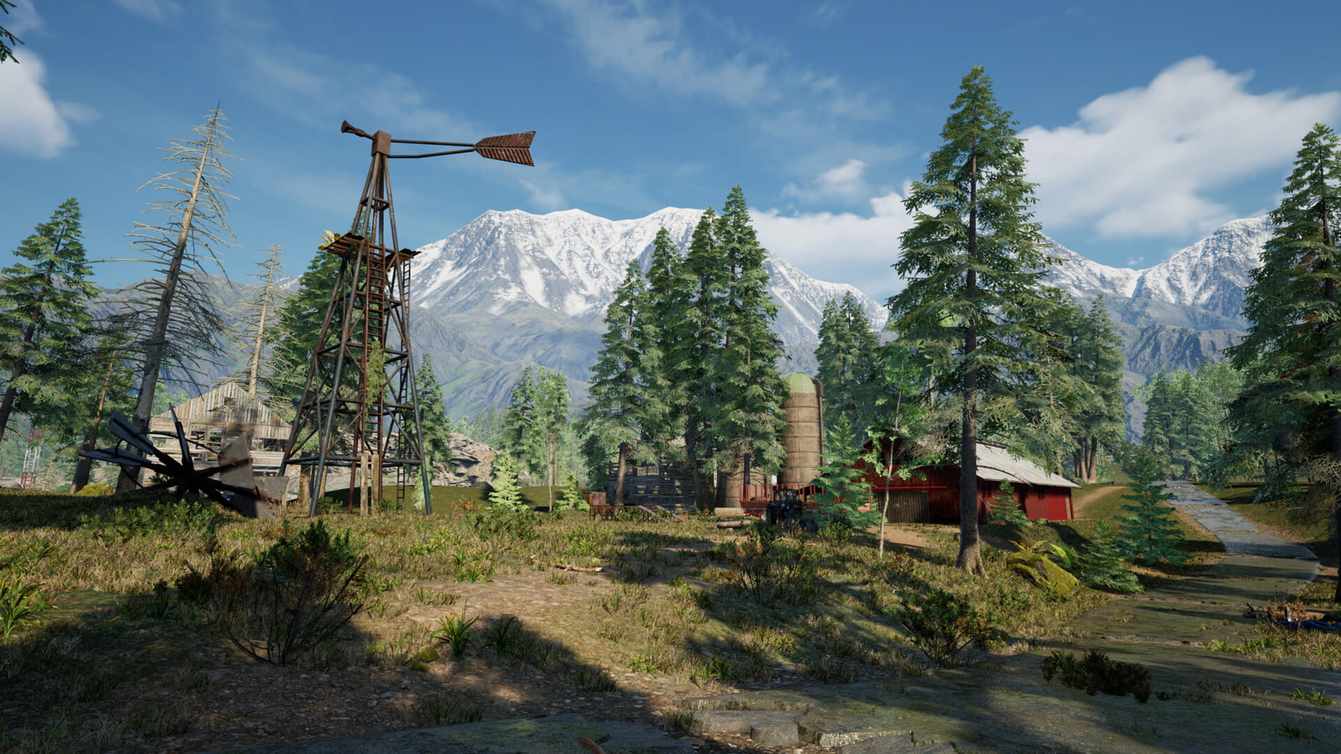 Mountain